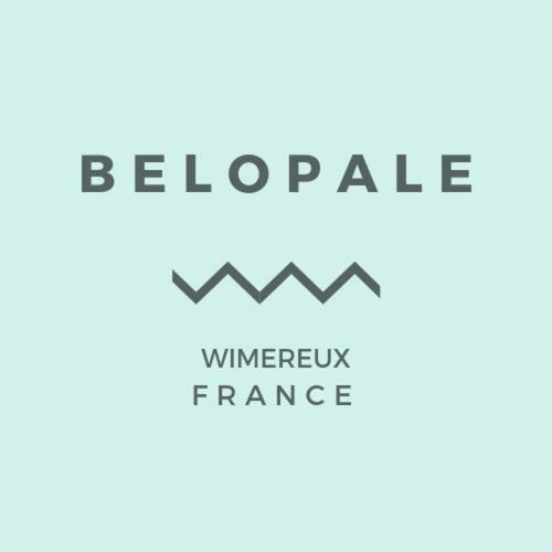 Belopale @ Residence La Belle Epoque Wimereux Exterior photo